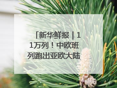 新华鲜报｜11万列！中欧班列跑出亚欧大陆“新时速”